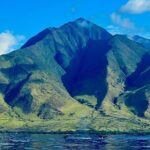 Kayak, Whale Watch, and Snorkel With Optional Photo and Video - Who Will Love This Tour?