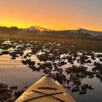 Kayaking adventure through the Xochimilco and Frida Kahlo Canals - Practical Considerations