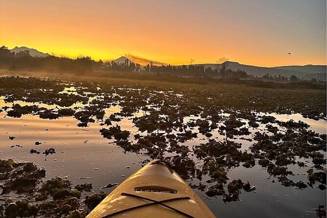 Kayaking adventure through the Xochimilco and Frida Kahlo Canals - Practical Considerations