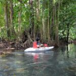Kayaking and swiming klongrood - A Detailed Look at the Kayaking and Swimming Tour in Krabi
