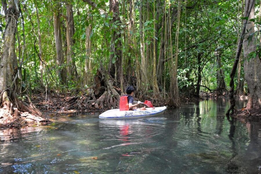 Kayaking and swiming klongrood - A Detailed Look at the Kayaking and Swimming Tour in Krabi