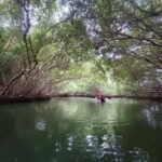 Kayaking in Backwaters of Pondicherry - Exploring Pondicherrys Backwaters by Kayak: A Detailed Review