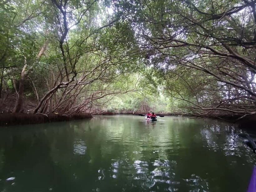 Kayaking in Backwaters of Pondicherry - Exploring Pondicherrys Backwaters by Kayak: A Detailed Review