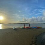Kayaking in Mangrove Forest of Paravur Backwaters near Varkala and Kollam - Authentic Insights from Reviews