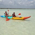 Kayaking Tour Through the Mangroves in Isla Holbox - The Practical Side: Value and Considerations