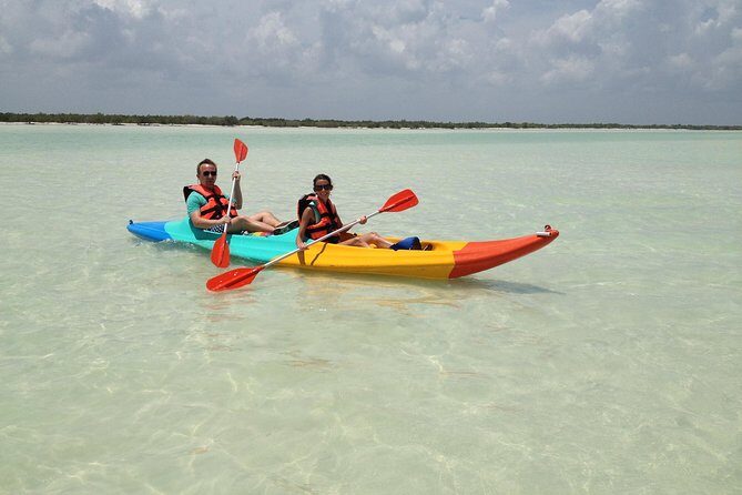Kayaking Tour Through the Mangroves in Isla Holbox - The Practical Side: Value and Considerations