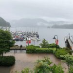 Kayaking Vancouver Tour - Who Should Consider This Tour?