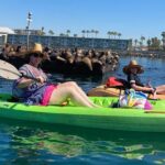 Kayaking with Sea Lions in a Calm Beautiful Harbor - Analyzing the Value