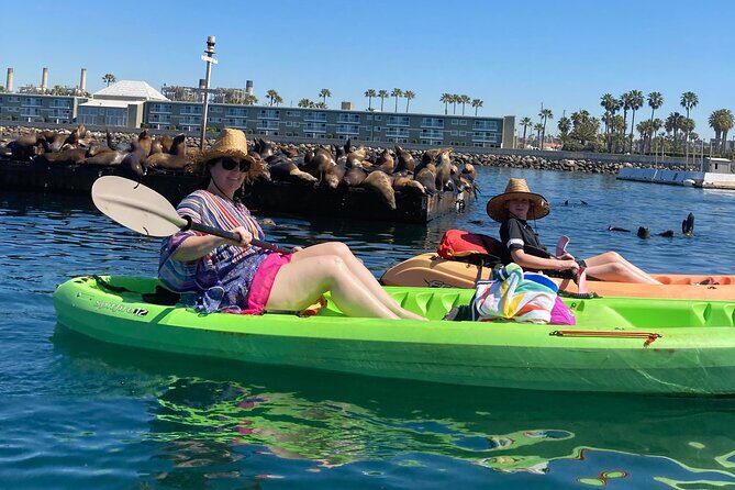 Kayaking with Sea Lions in a Calm Beautiful Harbor - Analyzing the Value