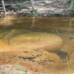 Kbal Spean Lingar River, Banteay Srei Temple & Pre Rup Tour - FAQ