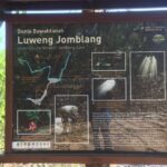 Kediwung Sunrise, Jomblang Cave, Timang Gondola Beach Day Tour - Transportation and Practicalities