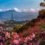 Keelung Shore Excursion Private 8H Taipei Urban Adventure - FAQs about the Keelung Shore Excursion to Taipei