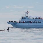 Kenai Fjords Orca Quest Cruise - In-Depth Review of the Kenai Fjords Orca Quest Cruise
