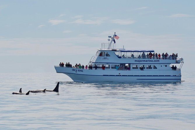 Kenai Fjords Orca Quest Cruise - In-Depth Review of the Kenai Fjords Orca Quest Cruise