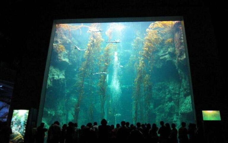 Kenting: National Museum of Marine Biology & Aquarium - Who Should Visit?