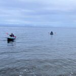 Keogh River Bear Kayaking Tour - Summary: Is It Worth It?