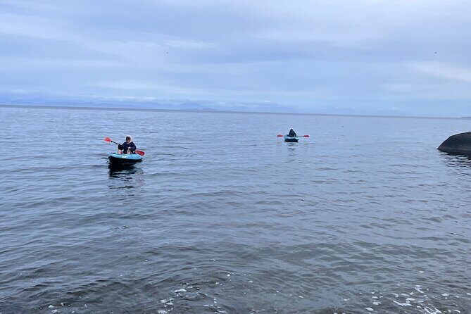 Keogh River Bear Kayaking Tour - Summary: Is It Worth It?