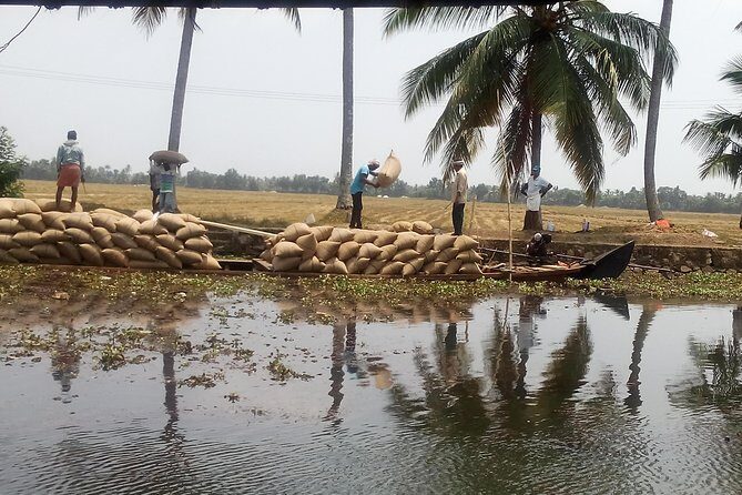 Kerala Backwater Cruise in Exclusive Water Taxi Explores Narrows - What’s Included and What’s Not?