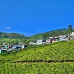 Kerala  Munnar & Alleppey Houseboat Package - A Deep Dive into the Kerala Munnar & Alleppey Houseboat Tour