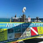 Key Largo and Islamorada Private Tour by Cabriolet Bus - A Detailed Look at the Tour Experience