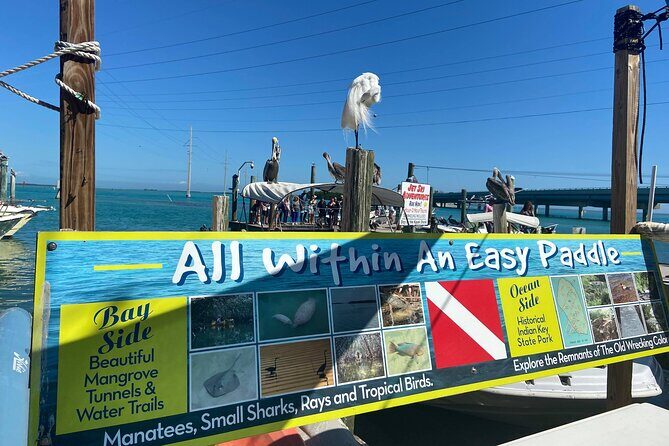 Key Largo and Islamorada Private Tour by Cabriolet Bus - A Detailed Look at the Tour Experience