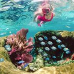 Key Largo Snorkeling Tour - rental mask, fins and vest INCLUDED - Authentic Experiences from Travelers