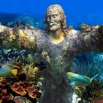 Key Largo Snorkeling Trips & Sandbar Tours - The Experience in Detail