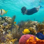 Key West: 3hr Snorkeling Experience with Unlimited Drinks - Practical Details and Considerations