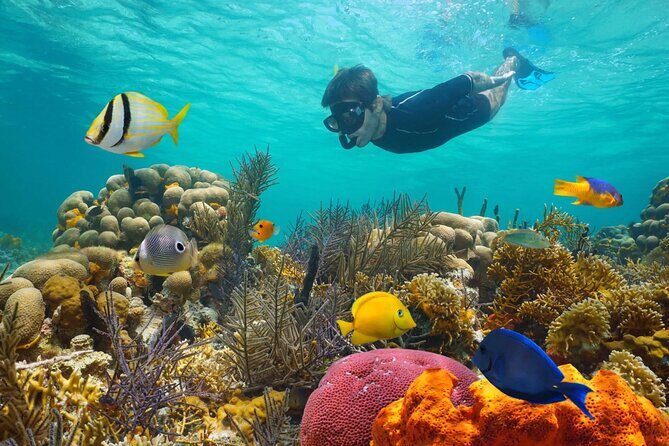 Key West: 3hr Snorkeling Experience with Unlimited Drinks - Practical Details and Considerations