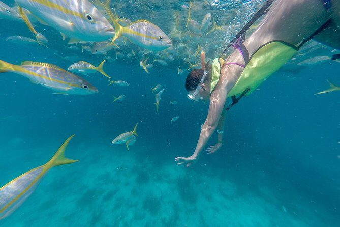 Key West Afternoon Snorkel Sail with Unlimited Cocktails! - The Complete Experience: What to Expect