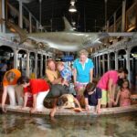 Key West Aquarium Admission - Final Thoughts