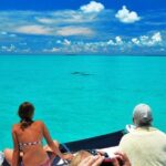 Key West Day Trip from Miami with Activities - Final Thoughts: Who Will Love This Trip?