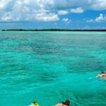 Key West Dolphin Watch and Snorkel Tour - Eco Adventure - Who Will Love This Tour?