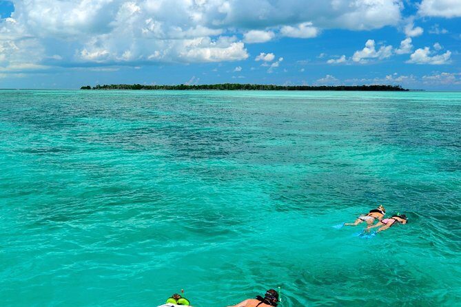 Key West Dolphin Watch and Snorkel Tour - Eco Adventure - Who Will Love This Tour?