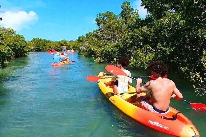 Key West Hidden Sanctuary Mangrove Kayak Tour With Drinks - The Boat Ride: Setting the Scene