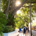 Key West Historic Bahama Village & Hemingway Heritage - The Sum Up