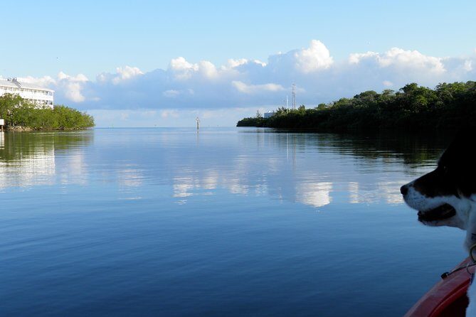 Key West Kayak Rental - Who This Tour Is Best For