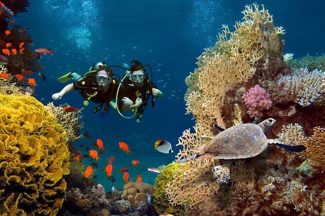 Key West Private Tour Tailor Made - Who Is This Tour Best For?