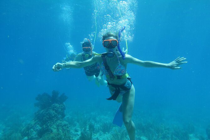 Key West SNUBA Experience - The Sum Up