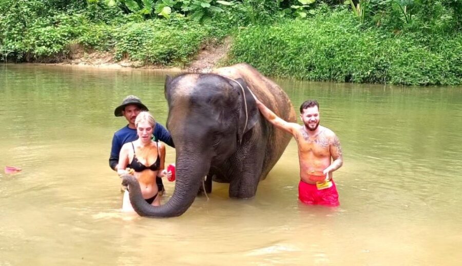 Khao Lak: Elephant Sanctuary Guided Tour - A Genuine and Compassionate Elephant Experience