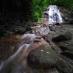 Khao Lak: Little Amazon Canoe Ride & Tam Nang Waterfall Tour - The Itinerary in Detail