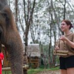Khao Laks Best: Elephant Sanctuary,Rubber Tapping&Waterfall - Who Should Consider This Tour?