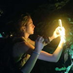 Khao Sok: Private Night Safari Adventure w/ Hotel Transfer - Why This Tour Works for Travelers