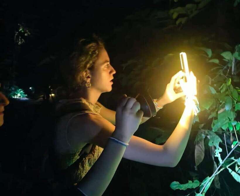 Khao Sok: Private Night Safari Adventure w/ Hotel Transfer - Why This Tour Works for Travelers