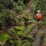 Khao Sok Rainforest | Hiking & Bamboo Rafting - Frequently Asked Questions