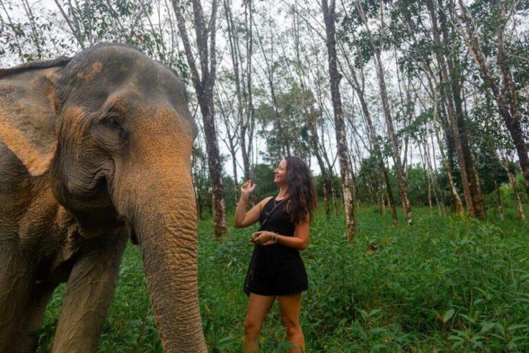 Khaolak: Begin the Day with Elephants - Walk and Feed Tour - What Makes This Tour Special?