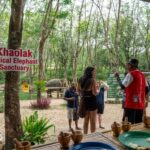 Khaolak: Elephant Sanctuary Guided Tour with Hotel Transfers - In-Depth Look at the Itinerary