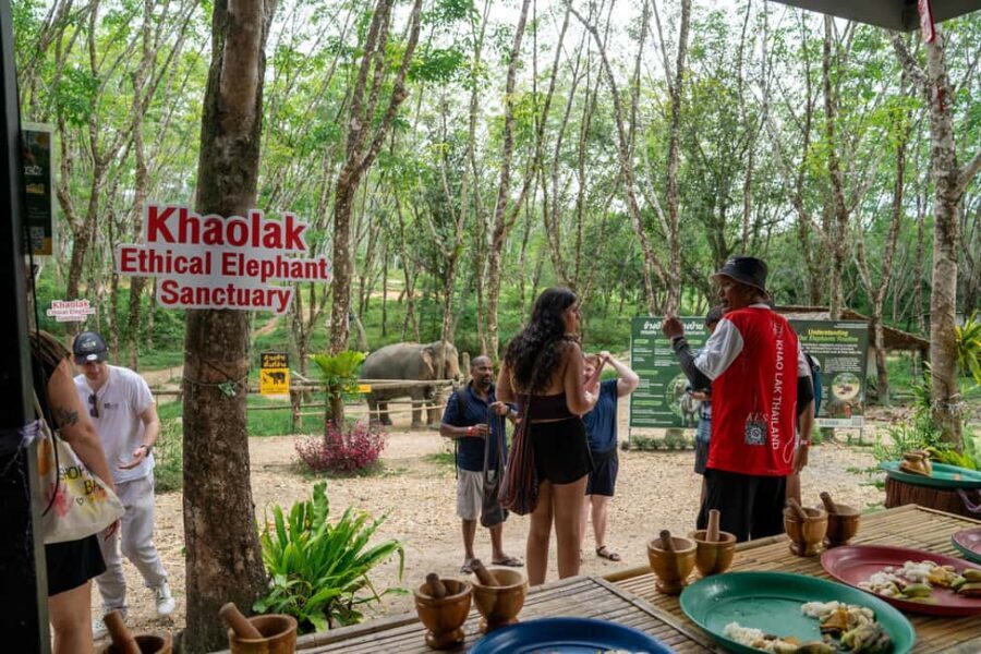 Khaolak: Elephant Sanctuary Guided Tour with Hotel Transfers - In-Depth Look at the Itinerary