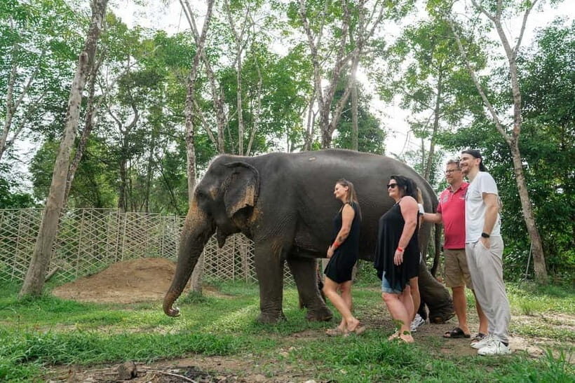 Khaolak: Elephant Sanctuary Hightlights Guide & Forage Tour - An In-Depth Look at the Khao Lak Elephant Sanctuary Experience