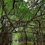 Khaolak Nature & Culture Tour with Lunch - An In-Depth Look at the Tour Experience